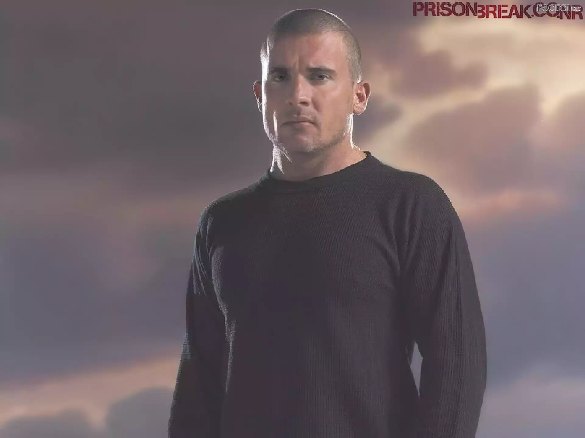 czarna bluzka, Dominic Purcell